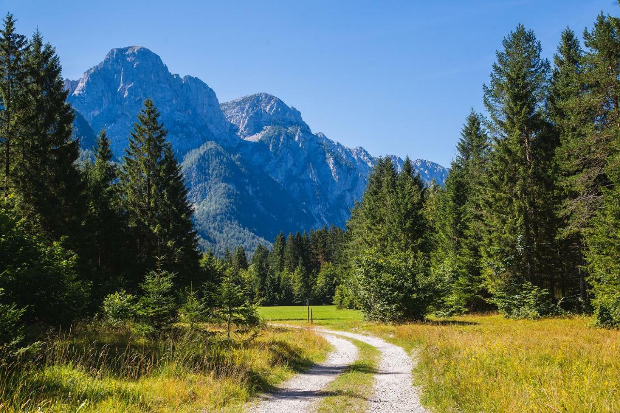 Вилла Pocitniska Hisa Radovna Zgornja Radovna Экстерьер фото