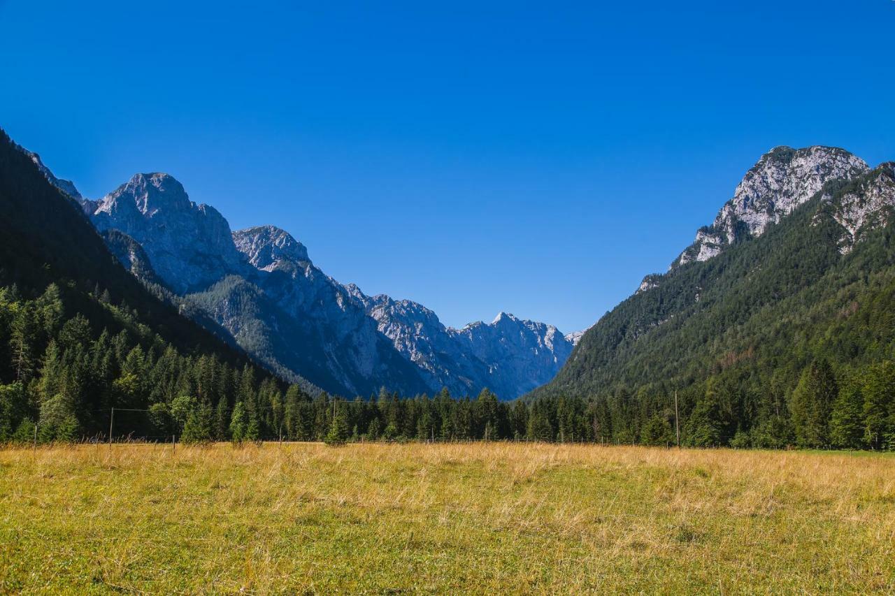Вилла Pocitniska Hisa Radovna Zgornja Radovna Экстерьер фото